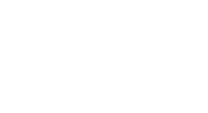 Bundesregierung – client of Samuel Weller